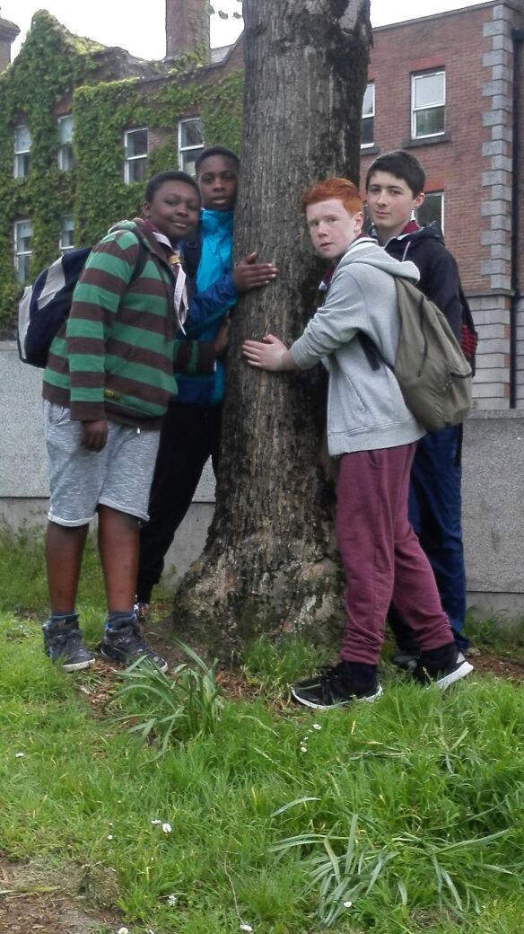 Treasure Hunt 2015 (9)